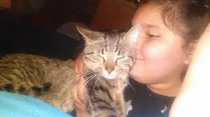 Person keeping their cat