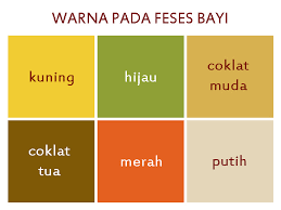 We did not find results for: Tinja Pada Bayi Kuning Pucat Perlu Diwaspadai Jika Disertai Keluhan Lain