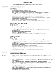 cobol developer resume samples velvet