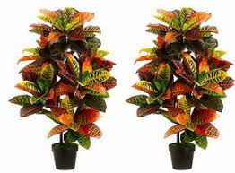 Tropical artificial desktop succulent arrangement plant in planter brayden studio. 2 Artificial 3 Croton Outdoor Uv Topiary Tree Bush Patio In Pot 6 4 5 Tropical Ebay