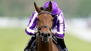 Maybe you would like to learn more about one of these? Aidan O Brien S Epsom Heroine Snowfall Says She Faces Seven Rivals At Irish Oaks At Curragh On Saturday Race News