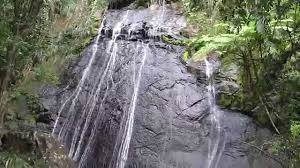It is right along road 191. El Yunque National Forest Puerto Rico La Coca Falls Hd 2015 Youtube