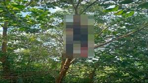 30.11.2020 · kes bunuh diri semakin memuncak sejak mei 2015, sekali gus menjadikan jepun sebagai antara negara baharu yang berani mendedahkan data bunuh diri dalam kalangan rakyatnya. Viral Video Pemuda Di Ketapang Tewas Gantung Diri Di Pohon Ternyata Korban Berasal Dari Garut Tribunnews Com Mobile