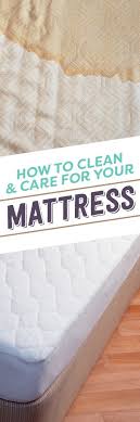 How To Clean A Mattress Mattress Cleaning Cleaning Hacks Carpet Cleaning Pet Stains