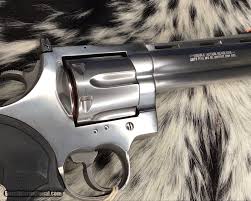 Image result for Bordeaux Maroon 1993 Colt