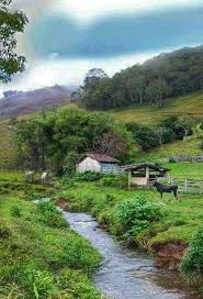 Bom dia!* ¸.•°””°•. Ah eu pudesse voltar aos bons tempos de criança,  reviver a juventude com… | Lindas paisagens, Paisagem rural, Fotografia da  natureza