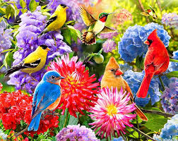 Blue Birds That Look Like Cardinals Done In Large Scale For This Wonderful Panel Cardinals Hummingbirds Goldfinches And Bluebirds Enjoy A Bountiful Garde In 2020 Yellow Finch Birds Bird Watching