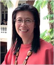 The Board of Directors and the Professional Council