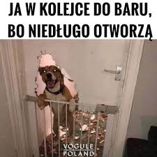 Wirus czy upadek wielu przedsiębiorstw? Koniec Lockdownu Juz Niedlugo Ale Czy Jestesmy Na To Gotowi Internauci Tworza Memy
