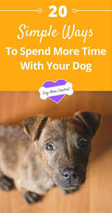 There S No Way To Add Hours To The Day But There Are Many Creative Ways You Can Carve Out More Time With Your Dog Here Are Our 20 Favo Dogs Your
