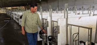 Check spelling or type a new query. Menteri Pertanian Malaysia Kunjungi Peternakan Sapi Greenfields Malang Wartapala Indonesia