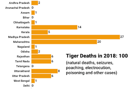 tiger deaths hit the 100 mark again but number down from