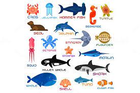 Have fun while you are learning the names of sea animals. Pin On Graphics Icons Illustrations Patterns Textures Objects