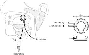 Speichel Als Matrix Fur Das Humanbiomonitoring In Der Arbeits Und Umweltmedizin Biomonitoring Methods In German Language 2015 Michalke Major Reference Works Wiley Online Library