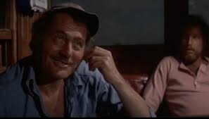 A shark scientist reflects