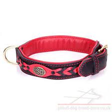 Browse our range of women's leather jackets today and find the perfect one for you. Thick Pitbull Dog Collar Heavy Fire 111 00