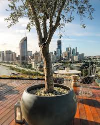 The Balcony Garden Featured Projects By Martin Brothers Landscaping Pots Largepots Outdoorliving Olivetree Balcony Garden Winter Garden Garden Features