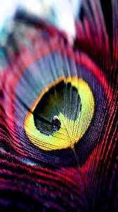 Pin On O My Lord O Imam Hosseyn