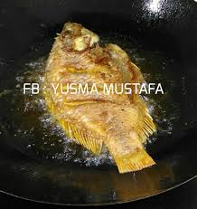 Cara buat kolam ikan diy ikan tilapia merah vlog 3. Resepi Ikan Talapia Tiga Rasa Sedap Sangat Bidadari My