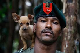 Venezuelan migrants make long trek back home — AP Photos