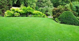 Ein schöner rasen will gepflegt sein! Englischer Rasen So Bekommen Sie Ihn Hin Wohnnet At