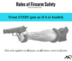 Image result for Gun Safety