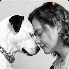 Where do you listen to your audiobooks from?