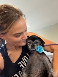 Frosted Faces Foundation Dogs Recovering from Pneumonia