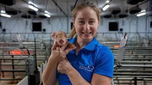 VIDÉO] Ferme Méloporc : de père en fille