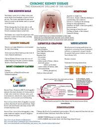 Handout Zur Patientenaufklarung Uber Chronische Nierenerkrankungen Www Facebook Com Chronische Han Dialysis Nurse Patient Education Medical Knowledge