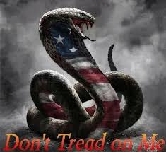 This cool looking design combines the us flag with the rebel flag and then ads revolutionary war era rattlesnake imagery. 50 Don T Tread On Me Gadsden Flags Ideas In 2021 Dont Tread On Me Gadsden Flag Gadsden