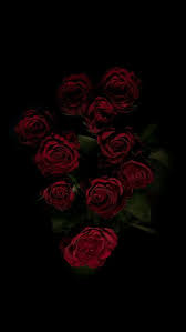 Nature Iphone Wallpaper Ideas Nature Wallpaper Iphone Nature Iphone Wallpaper Rose Wallpaper Wallpaper Iphone Roses
