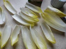 L'endive (ou chicon), un légume d'hiver aux feuilles blanches et serrées obtenue par forçage dans l'obscurité d'une racine de chicorée. Endives En Fleur Pour L Aperitif Croquant Fondant Gourmand