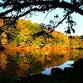 Wickiup Fall Fest event image
