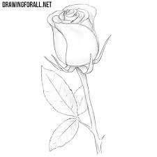 In the beginning it resembles to a cartoon illustration rather than to a rose drawing. How To Draw A Rose Easy
