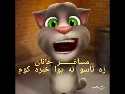 Hi salam this funny clips in dubai Pashto Funny Talking Tom Youtube