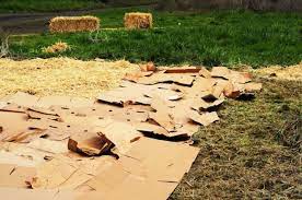 Check spelling or type a new query. Paillage De Jardin Protection Stylee Pour Votre Jardin Archzine Fr