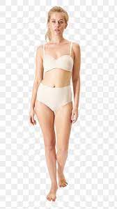 Female body shape human body diagram drawing woman, family linear. Pin On Amazing Design Resources