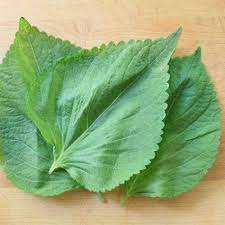 Seriously Asian Perilla Leaves