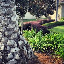 Check spelling or type a new query. Residential Portfolio