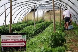 Miimosa Sauvons La Ferme Des Jardins De Paradis Miimosa