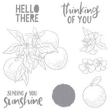Black And White Orange Blossom Clip Art February 2019 Stamp Of The Month Is Here Orange Blossoms Spellbinders Beautiful Handmade Cards Card Creator Spellbinders