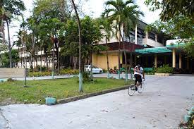 Stream tracks and playlists from up diliman ovcrd on your desktop or mobile device. University Of The Philippines Diliman