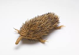 Bildergebnis für Yvonne Koolmatrie