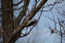 Waterwise Birding Walk