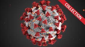 Science world crossword puzzle answers april 12 2021. April 12 2021 Issue Articles Activities And Videos Scholastic Science World Magazine