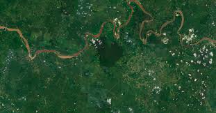 As a result, there were inconsistencies and even contradictions that gave. The Impact Of Deforestation