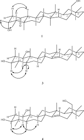 Image result for Manniophyton