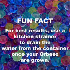 Orbeezone Fun Facts Market Day Ideas Fun