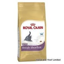 Royal Canin British Shorthair Kitten Food 400g British Shorthair Kittens British Shorthair Kitten Food